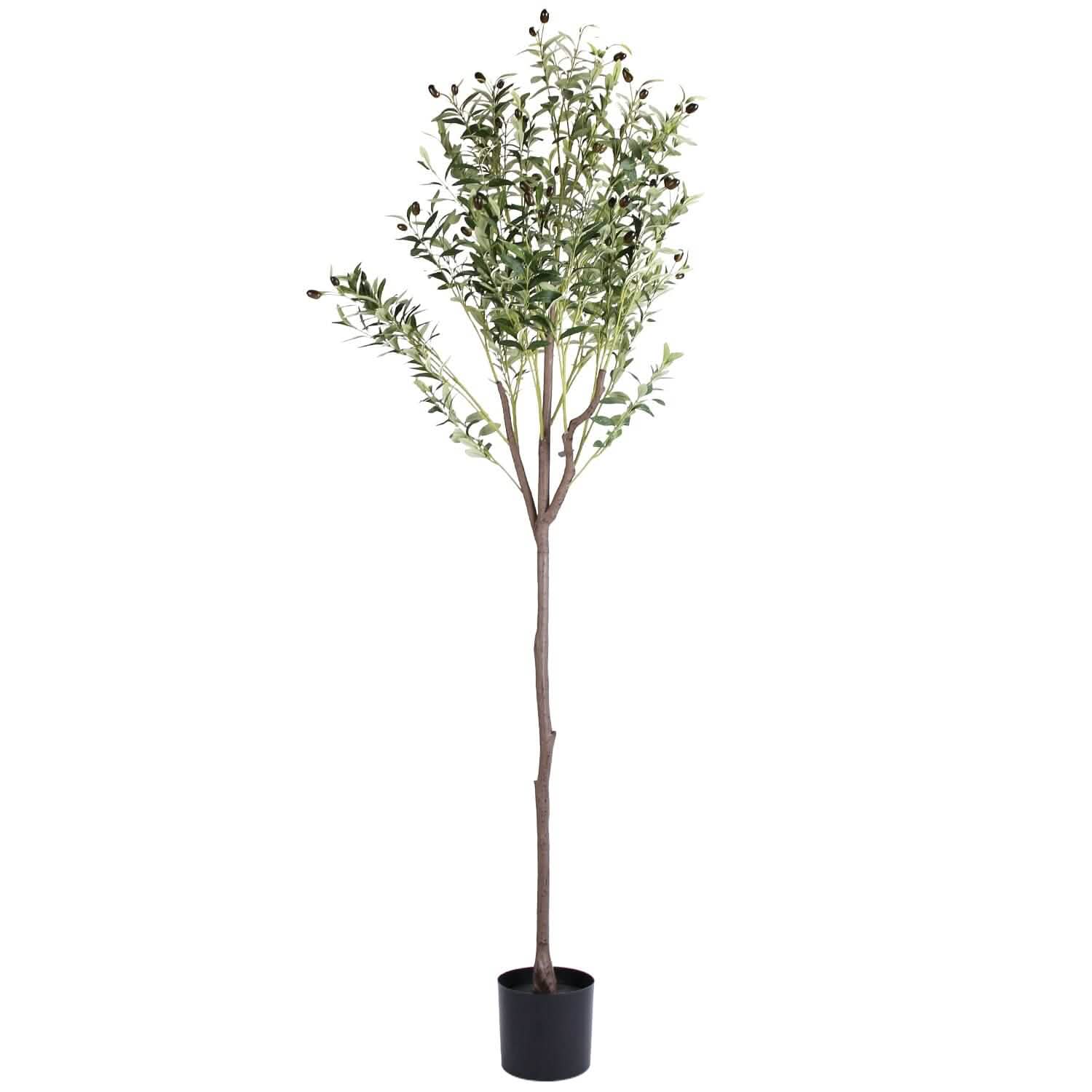 5.9ft Artificial Olive Tree with Lush Olive Branches and Fruits with Black Planter Pot by DailySale