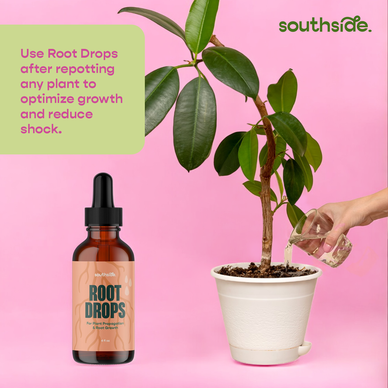 Root Drops - For Propagations & Repotting by Terra Cotta Botanical Boutique