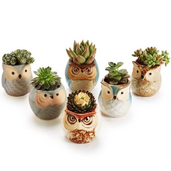 6-Pack: 2.5 Inch Owl Pot Ceramic Base by DailySale