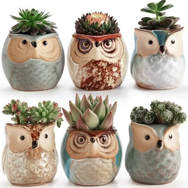 6-Pack: 2.5 Inch Owl Pot Ceramic Base by DailySale