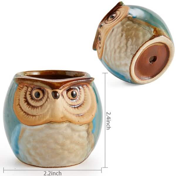 6-Pack: 2.5 Inch Owl Pot Ceramic Base by DailySale