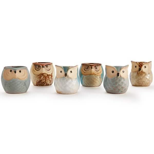 6-Pack: 2.5 Inch Owl Pot Ceramic Base by DailySale