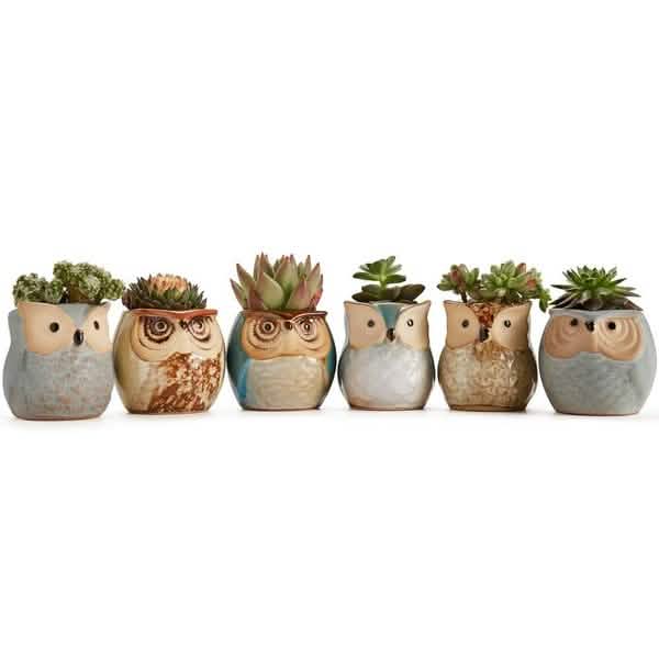 6-Pack: 2.5 Inch Owl Pot Ceramic Base by DailySale