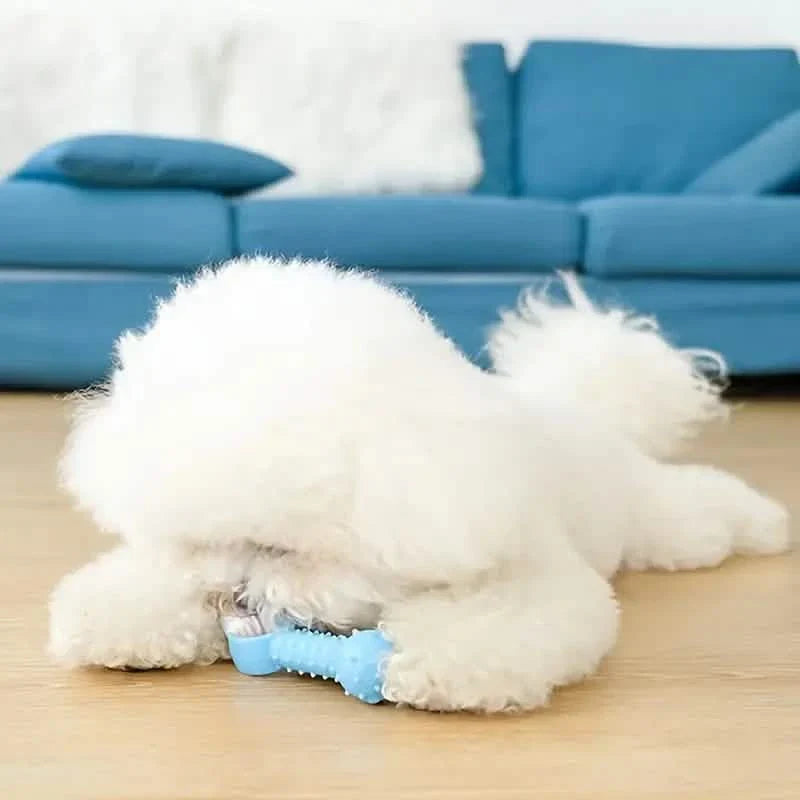 6-Pack: Puppy Teething Chew Toys with Interactive Ropes by DailySale