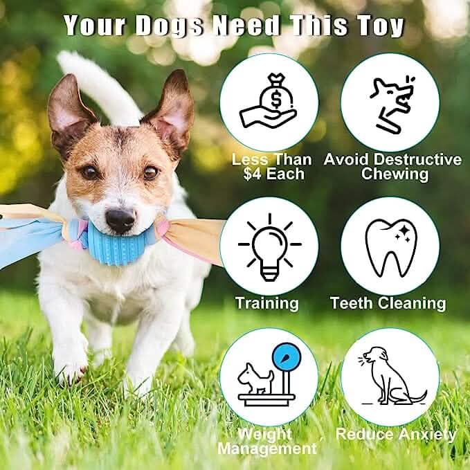 6-Pack: Puppy Teething Chew Toys with Interactive Ropes by DailySale