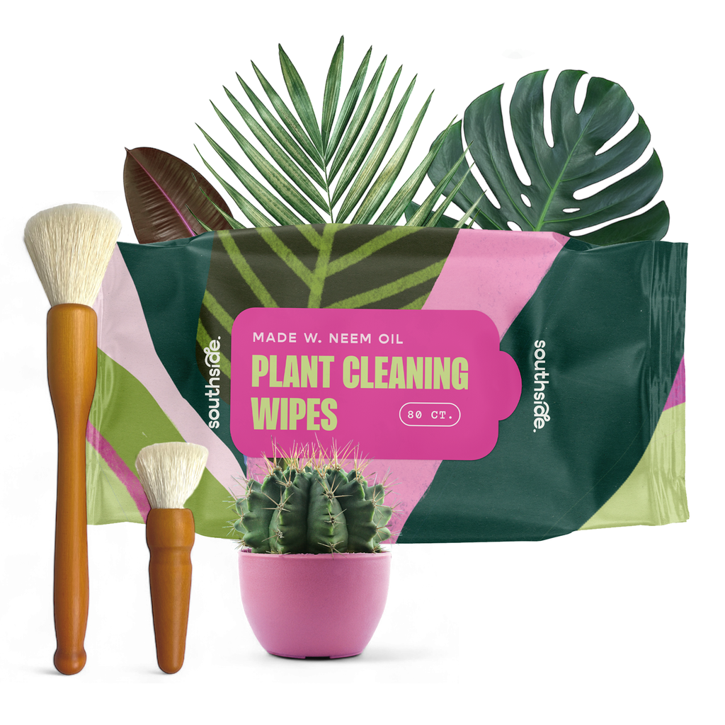 Houseplant Cleaning Wipes by Terra Cotta Botanical Boutique