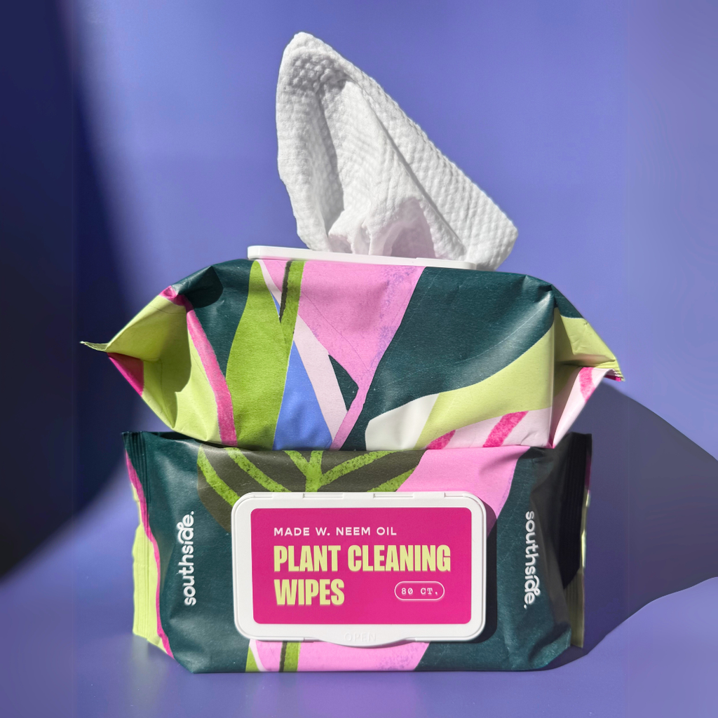 Houseplant Cleaning Wipes by Terra Cotta Botanical Boutique