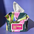 Houseplant Cleaning Wipes by Terra Cotta Botanical Boutique
