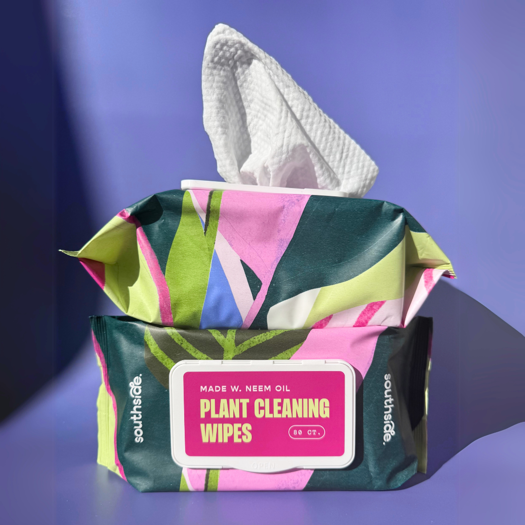 Houseplant Cleaning Wipes by Terra Cotta Botanical Boutique