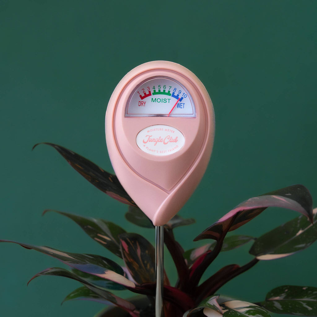 Moisture Meter | Pink *NEW COLOR* by Terra Cotta Botanical Boutique