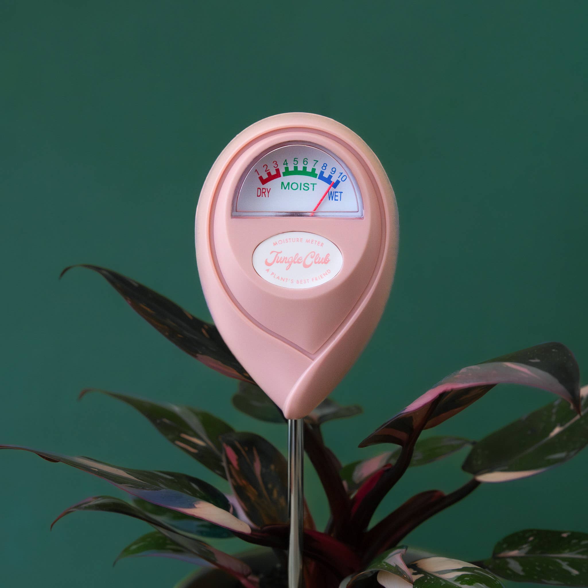 Moisture Meter | Pink *NEW COLOR* by Terra Cotta Botanical Boutique