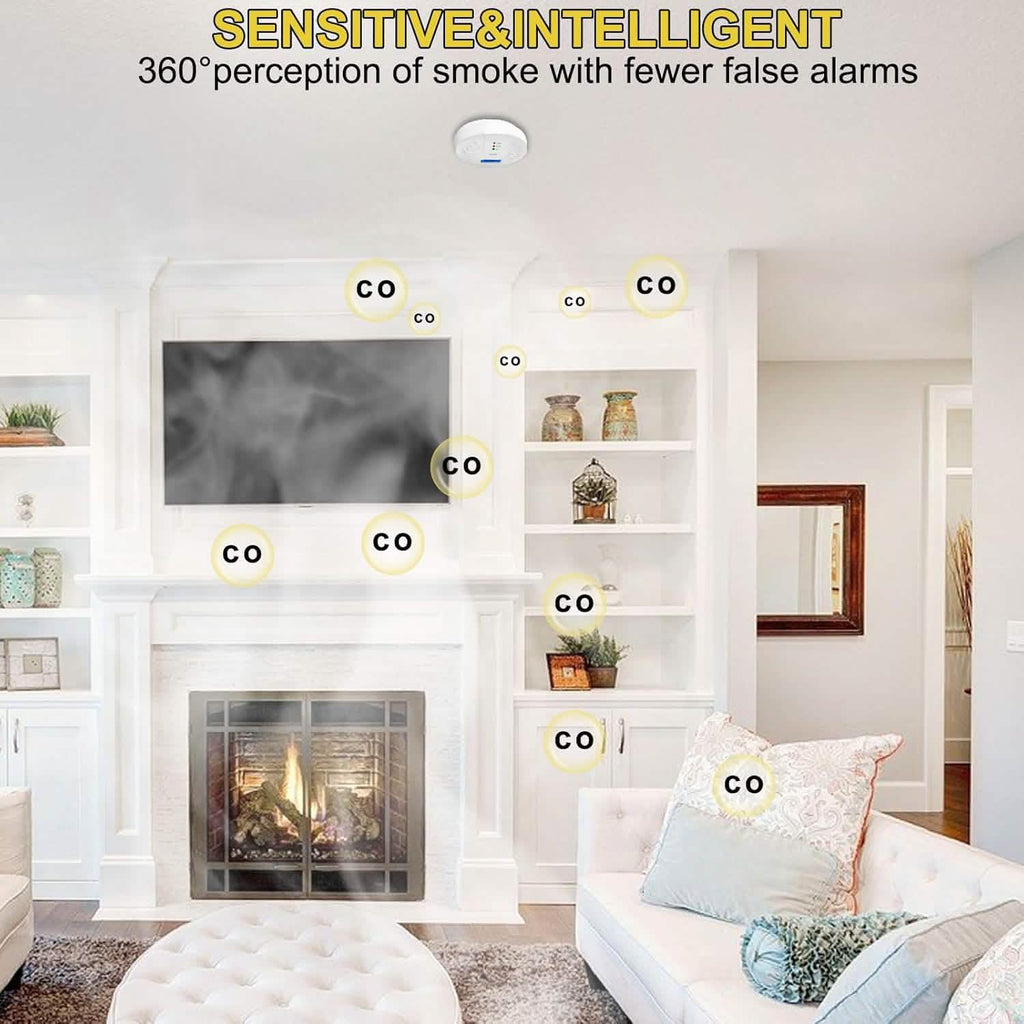 Portable Carbon Monoxide Detector – Battery-Operated CO Alarm by DailySale
