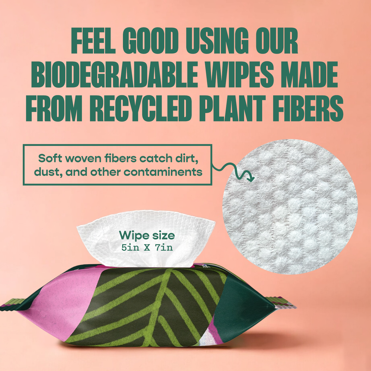 Houseplant Cleaning Wipes by Terra Cotta Botanical Boutique