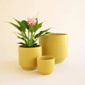 Parker Planter | Palm Speckle by Terra Cotta Botanical Boutique