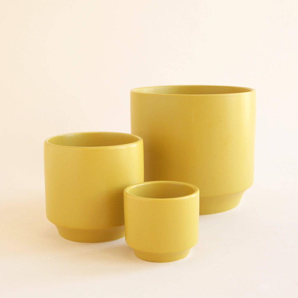 Parker Planter | Palm Speckle by Terra Cotta Botanical Boutique