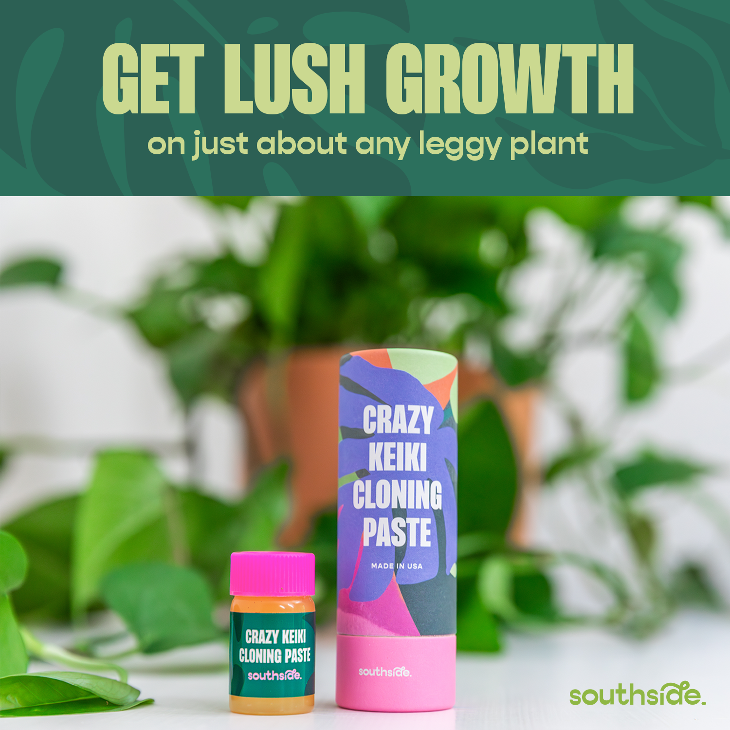 Crazy Keiki Cloning Paste by Terra Cotta Botanical Boutique