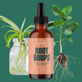 Root Drops - For Propagations & Repotting by Terra Cotta Botanical Boutique