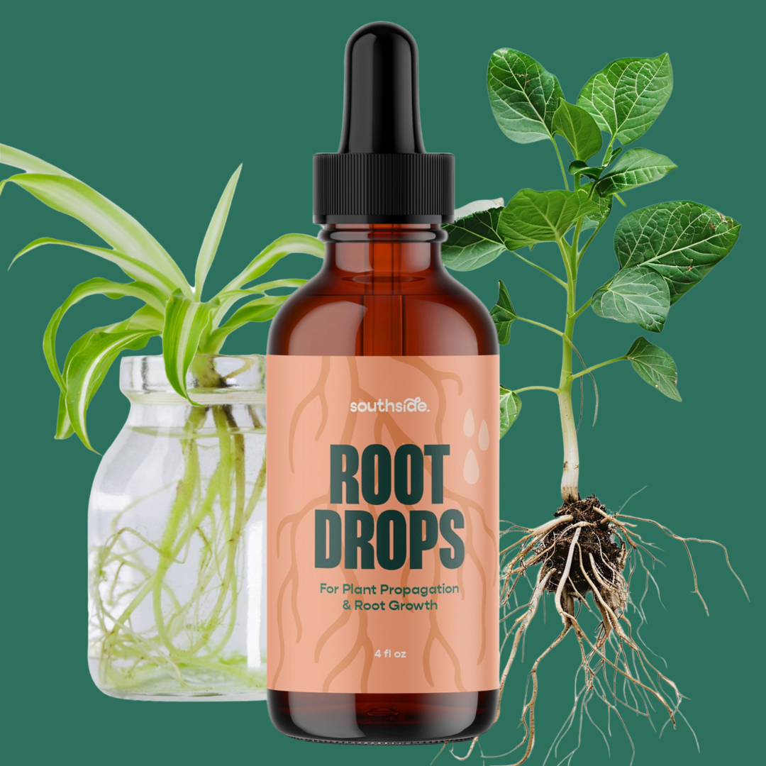 Root Drops - For Propagations & Repotting by Terra Cotta Botanical Boutique