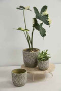 Verde Plant Pot Ceramic Planter For Indoor Plants And Home Decor