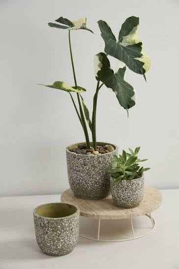 Verde Plant Pot Ceramic Planter For Indoor Plants And Home Decor