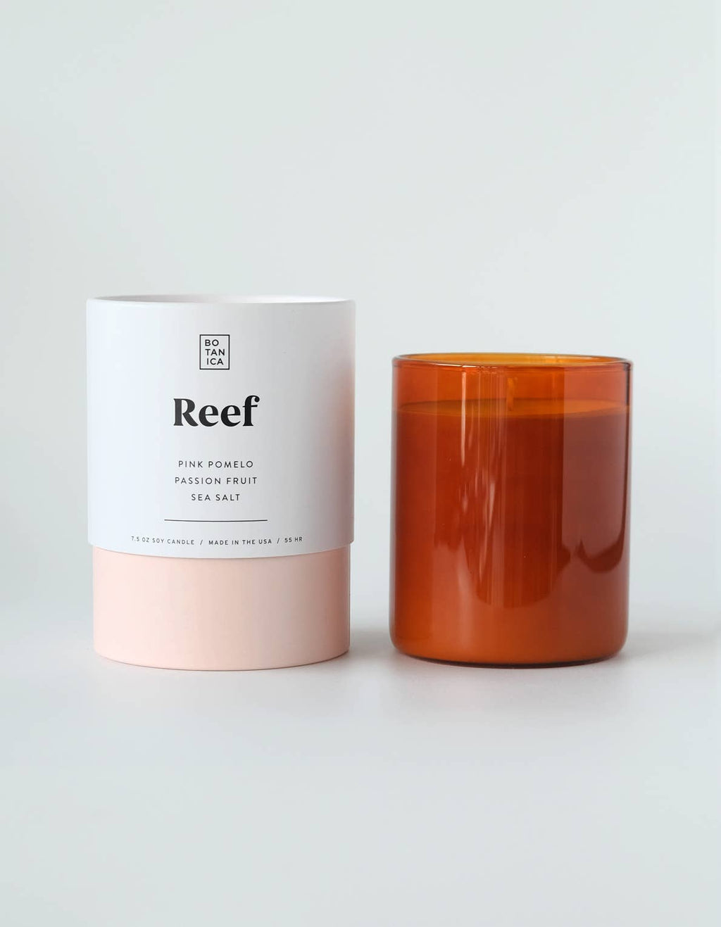 Reef Medium Candle | 7.5oz by Terra Cotta Botanical Boutique