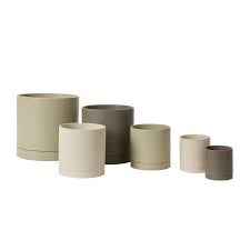 Romey Neutral