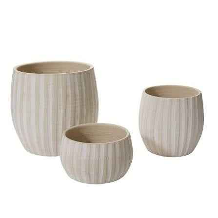 Arid Pot 10”