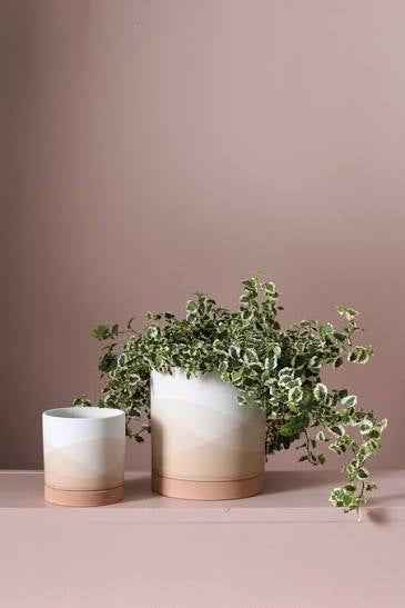 Vesper Pot