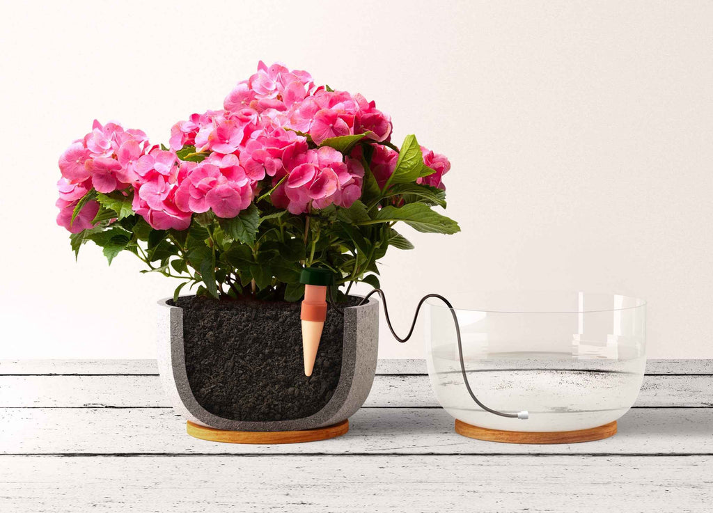 Blumat Classic Automatic Plant Waterer – 1 Pack