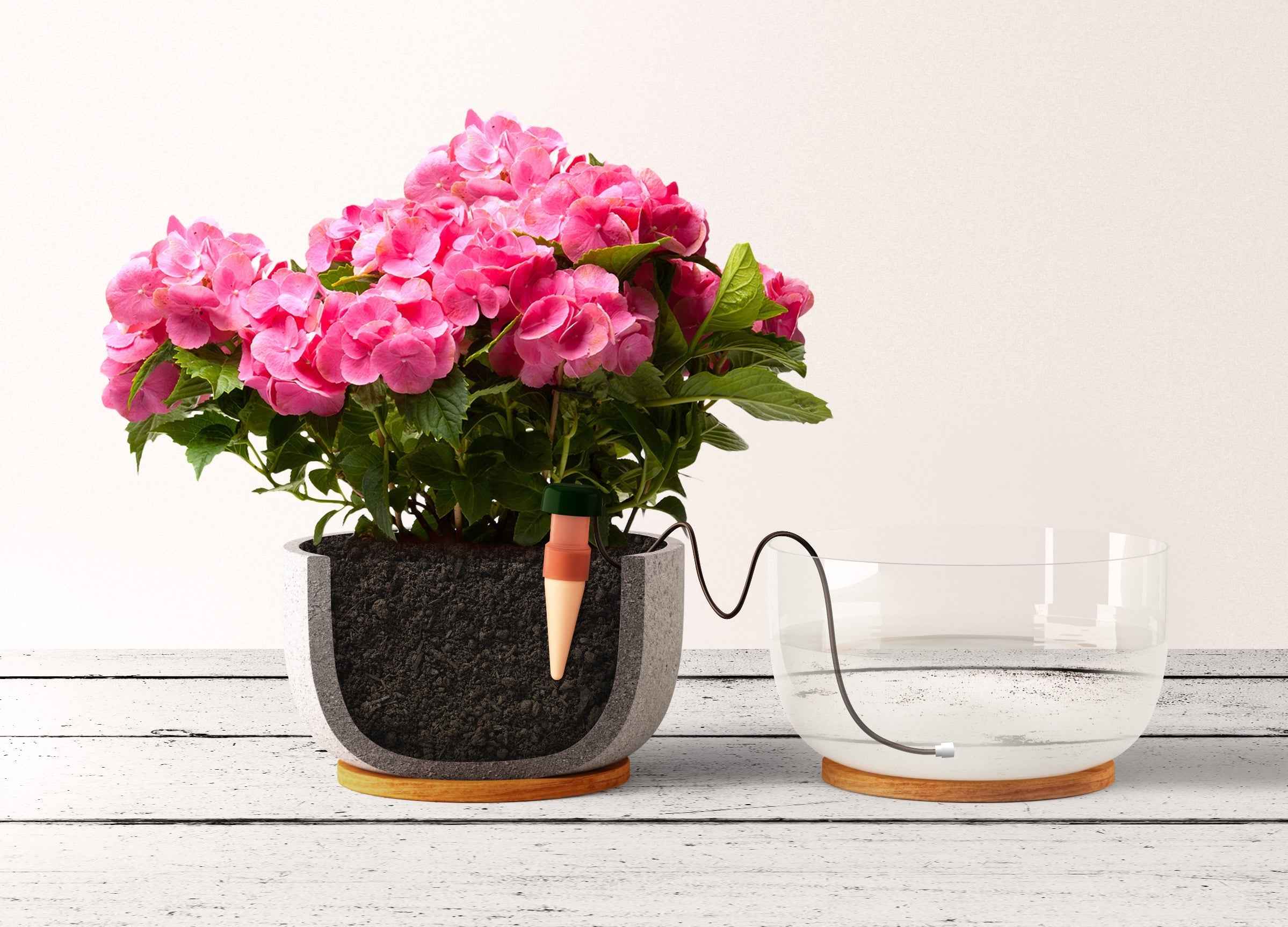 Blumat Classic Automatic Plant Waterer – 1 Pack