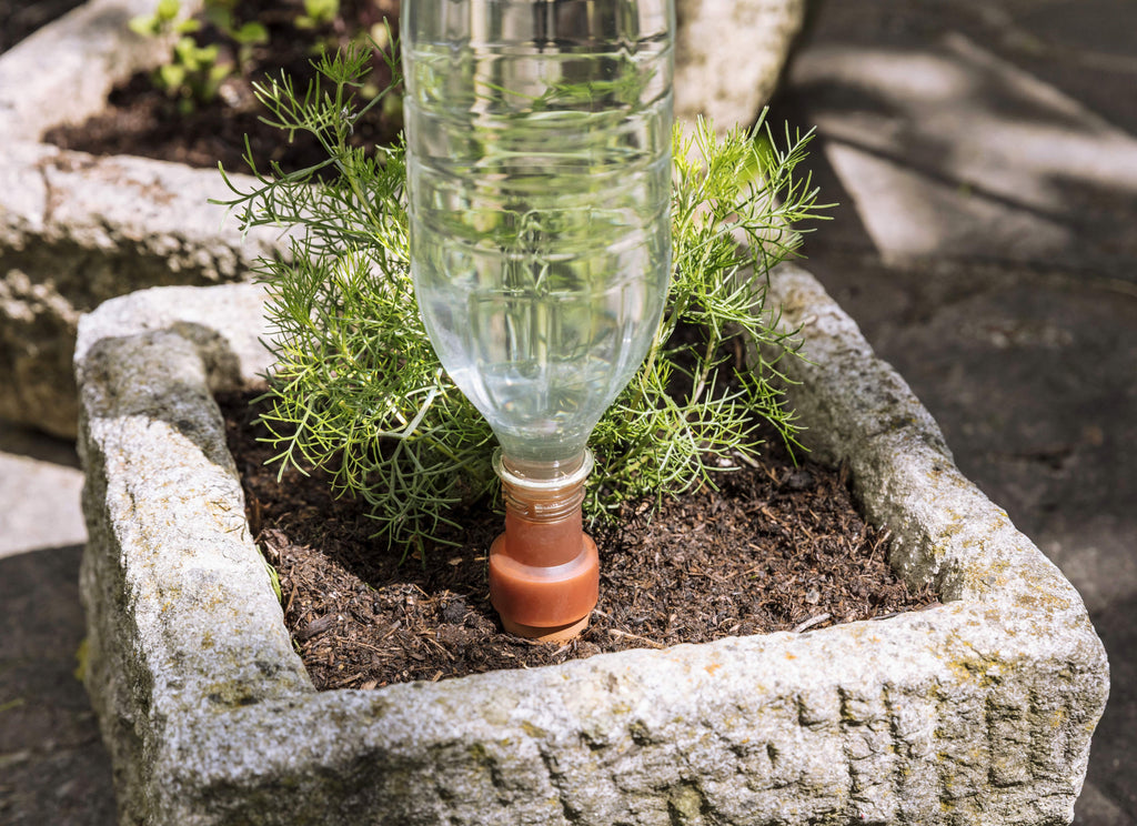 Blumat Easy XL Bottle Watering Stakes – 2 Pack by Blumat Drip