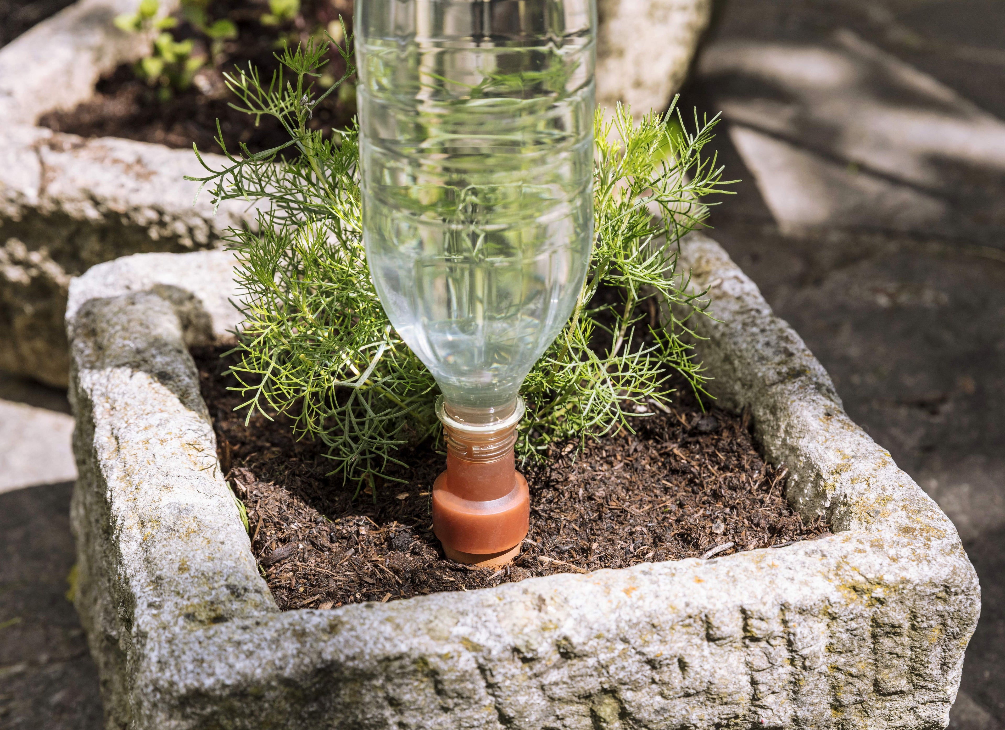 Blumat Easy XL Bottle Watering Stakes – 2 Pack by Blumat Drip
