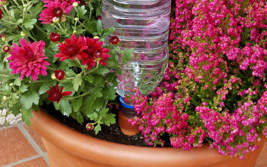 Blumat Easy XL Bottle Watering Stakes – 2 Pack