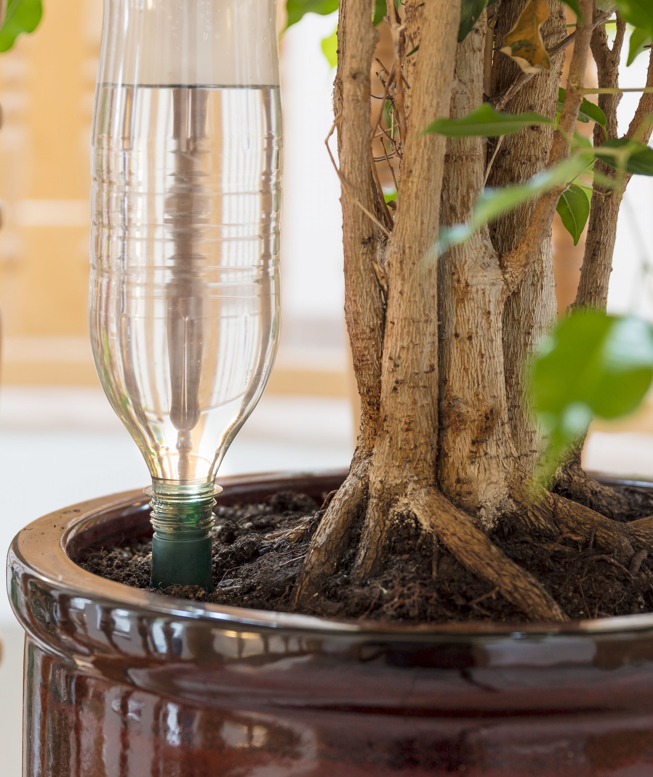 Blumat Easy Bottle Watering Stakes – 3 Pack by Blumat Drip