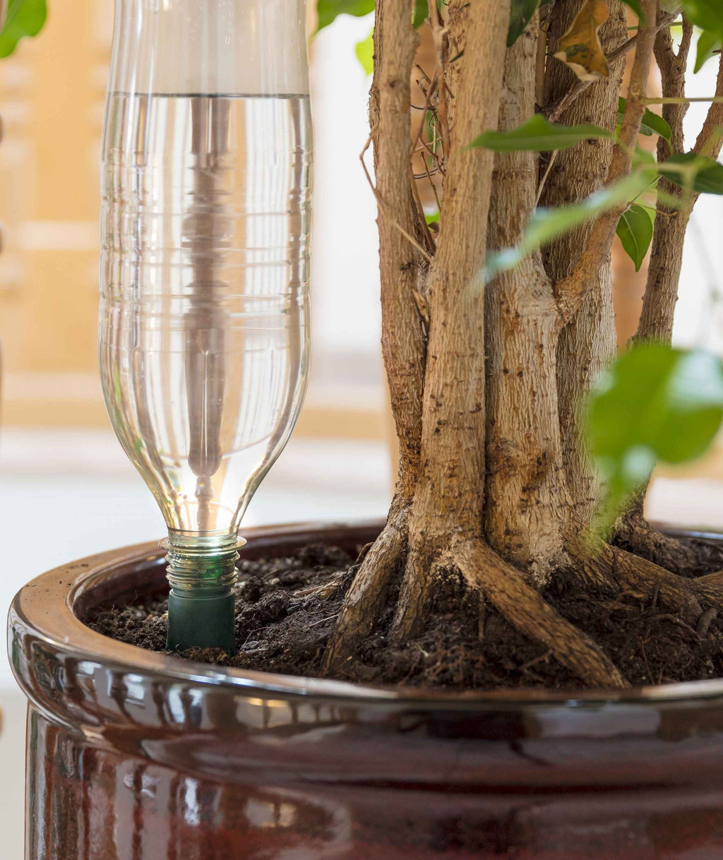 Blumat Easy Bottle Watering Stake - 1 Pack