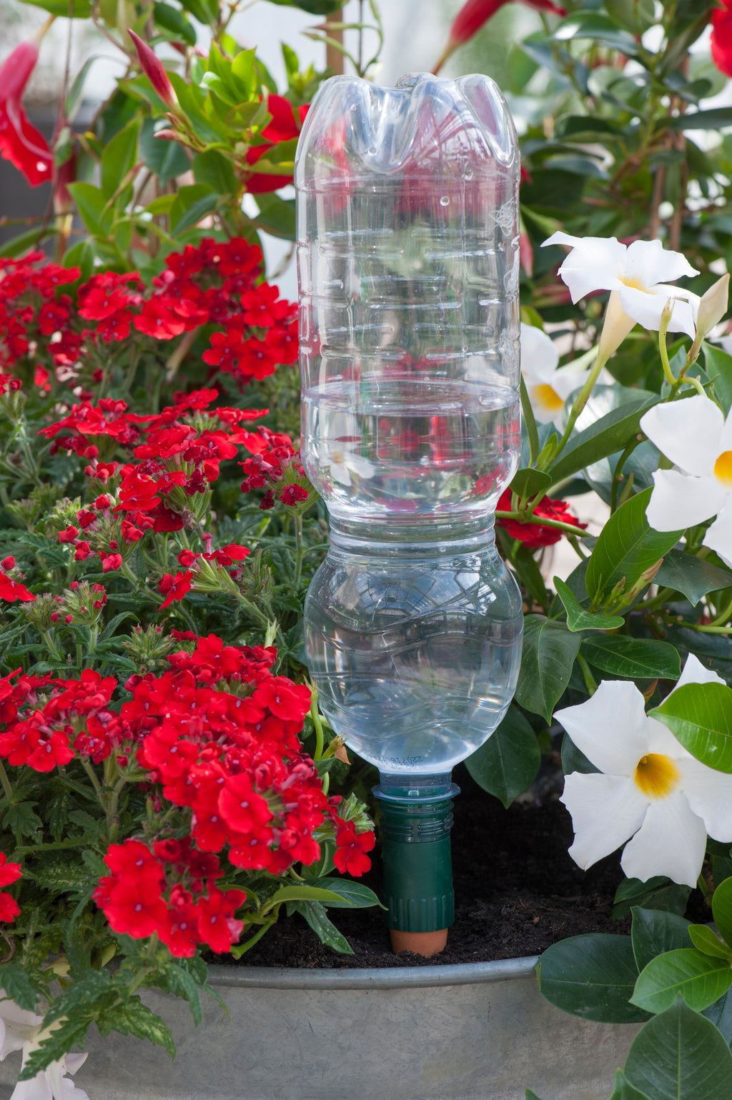 Blumat Easy Bottle Watering Stakes – 3 Pack by Blumat Drip