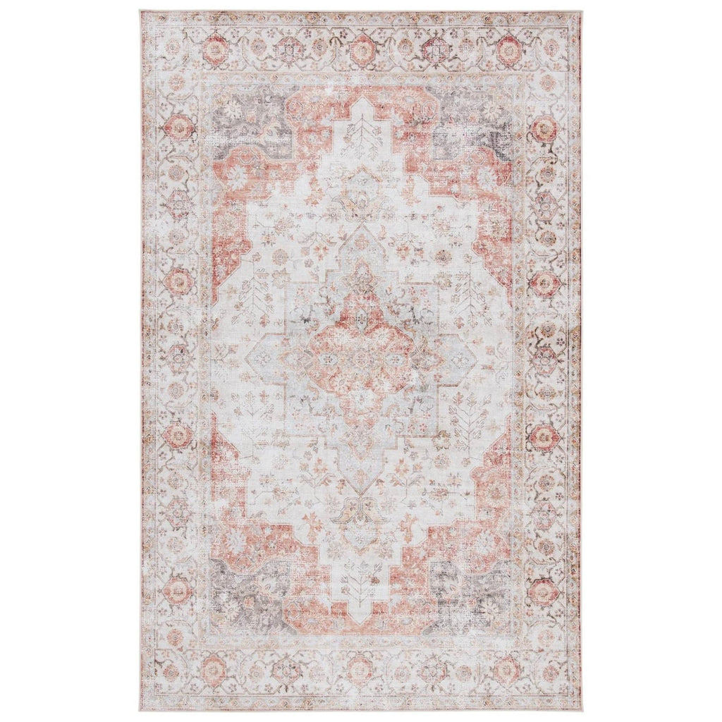 5 ft. x 8 ft. Traditional Persian Style Washable Boho Light Grey Red Area Rug - Goddess Imports Marketplace