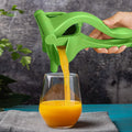 Portable Manual Press Juicer Extractor Squeezer Squash by DailySale