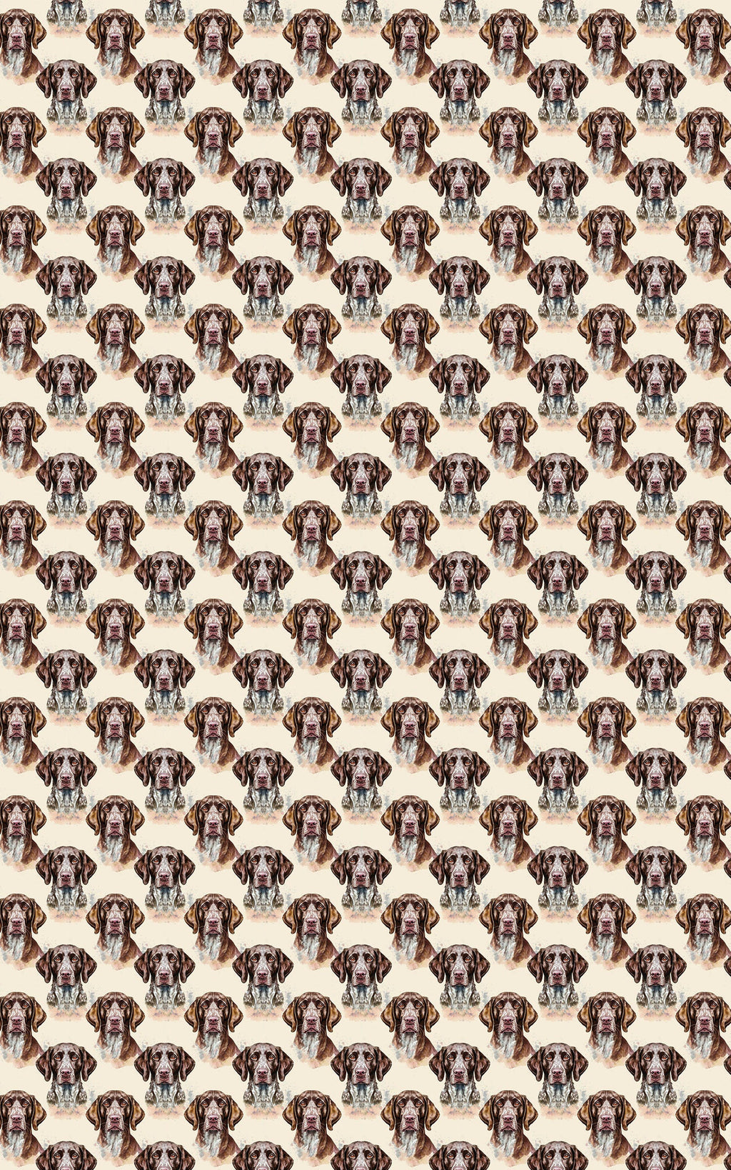 The Stylish Pointer