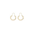 Tango Twist Earrings