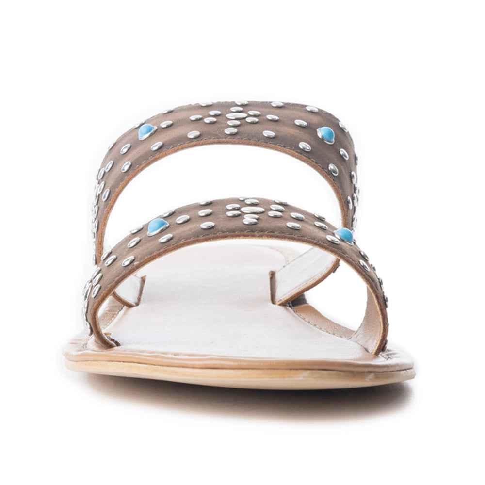 The Sagebrush Slides In Tan