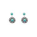 Starlight Canyon Earrings