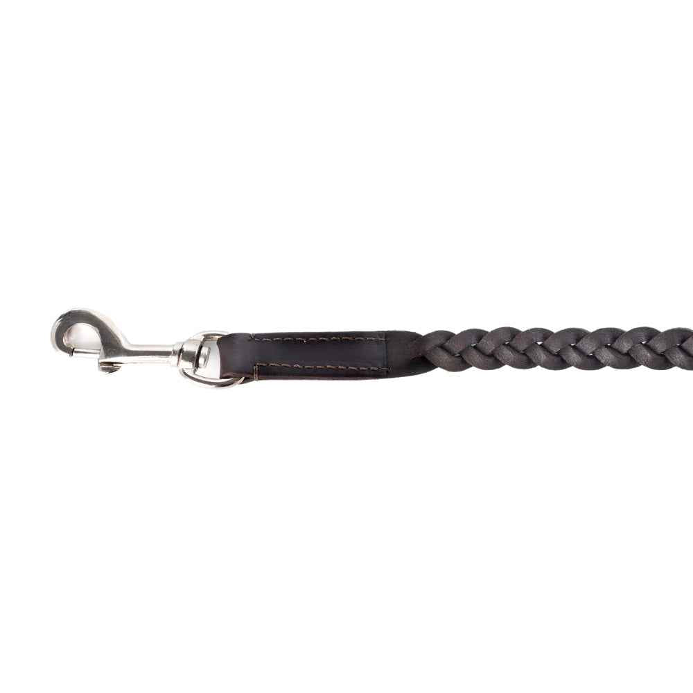 Trailbound Leather Dog Leash in Rustic Brown with Braided Design and Metal Hook