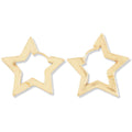 Dioptre Earring
