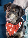 Pet Bandana Plaid Red by Grace+Emma
