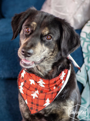 Pet Bandana Plaid Red by Grace+Emma