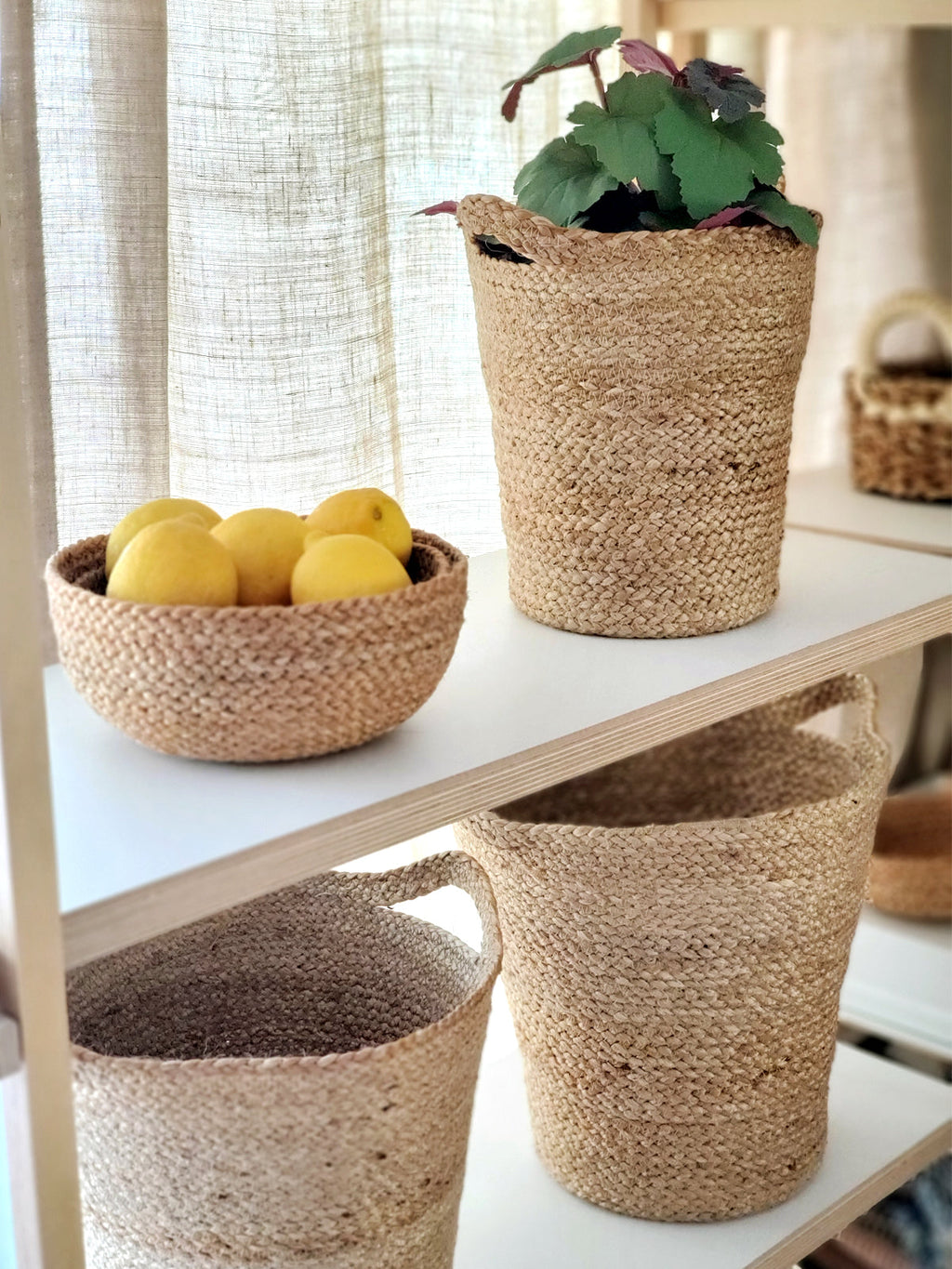 Kata Candy Bowl - Natural (Set of 4) - Goddess Imports Marketplace
