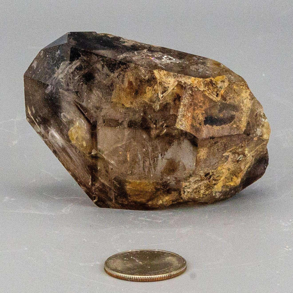 Skeletal Elestial Smoky Quartz Enhydro