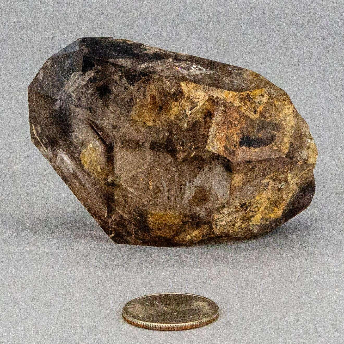 Skeletal Elestial Smoky Quartz Enhydro