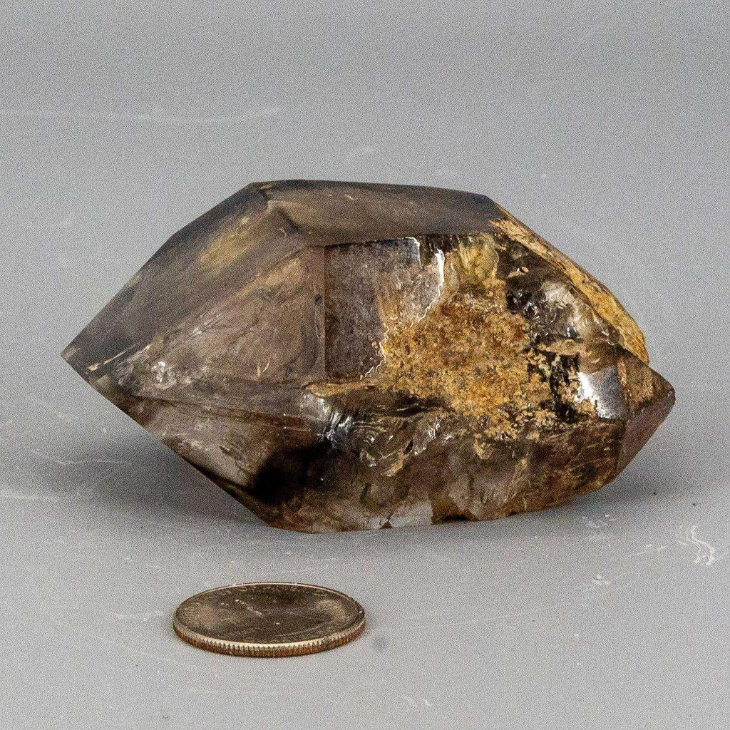 Skeletal Elestial Smoky Quartz Enhydro